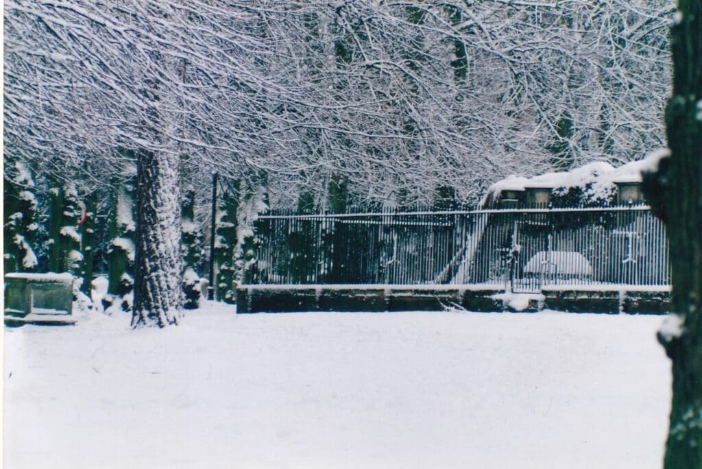 A train is parked in the snow near trees.