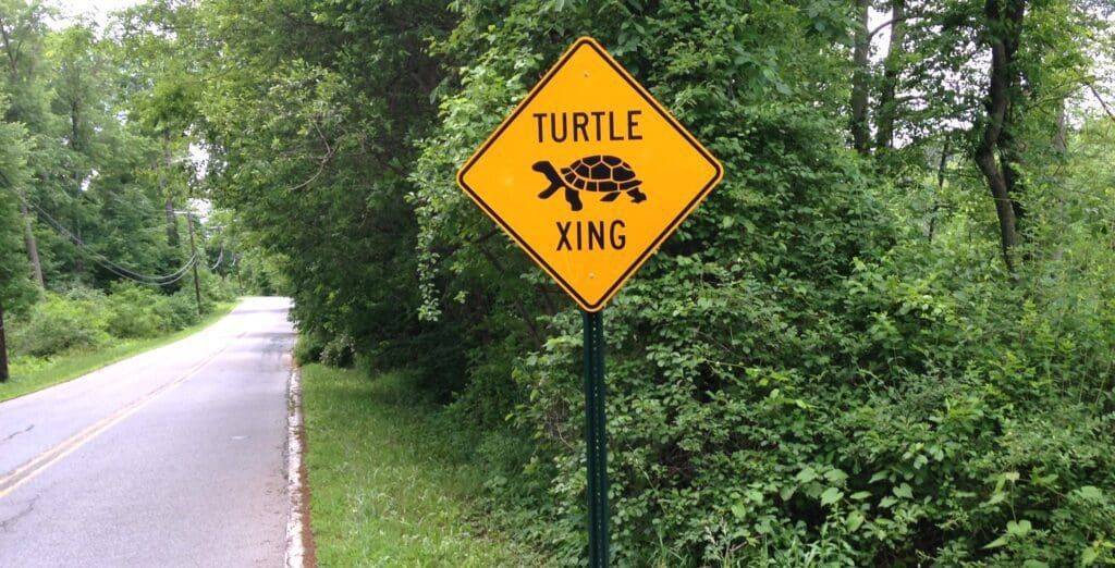 A turtle crossing sign on the side of a road.