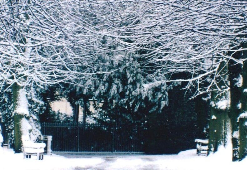 A snow-covered path flanked by benches leads through a tunnel of tree branches dusted with snow, resembling a scene from the end of days diaries.