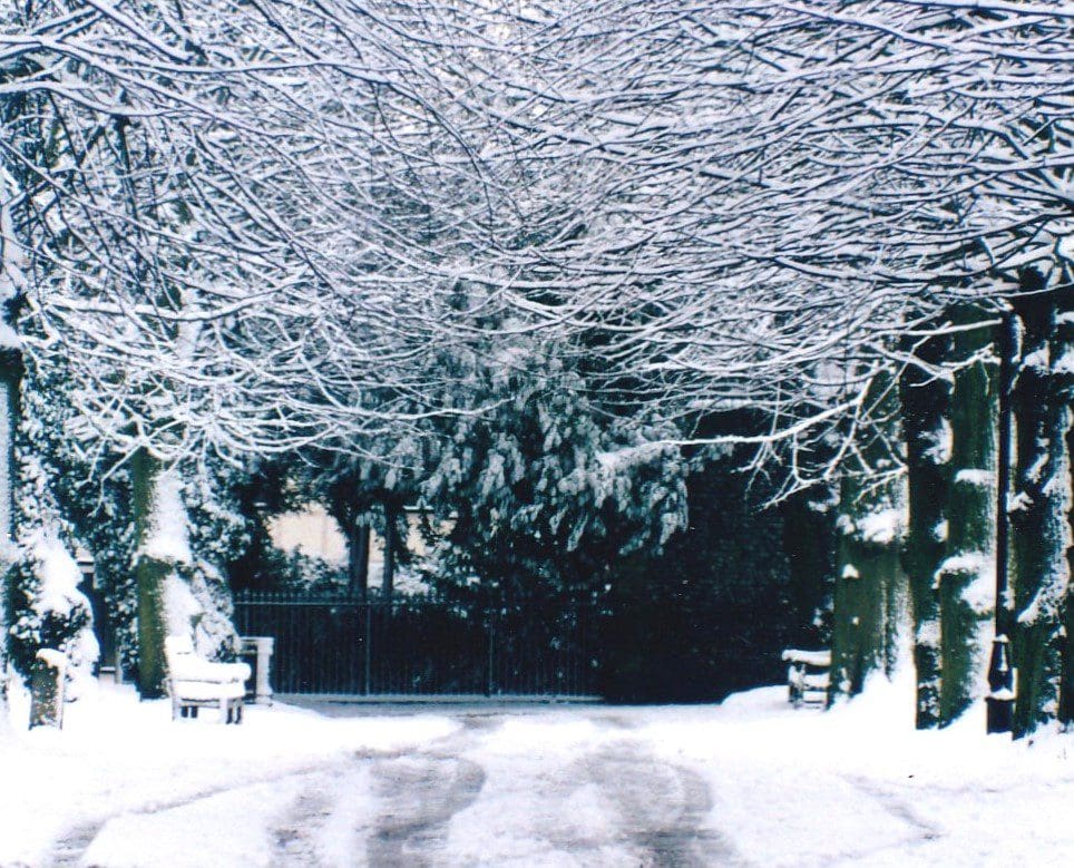 A snow-covered path flanked by benches leads through a tunnel of tree branches dusted with snow, resembling a scene from the end of days diaries.