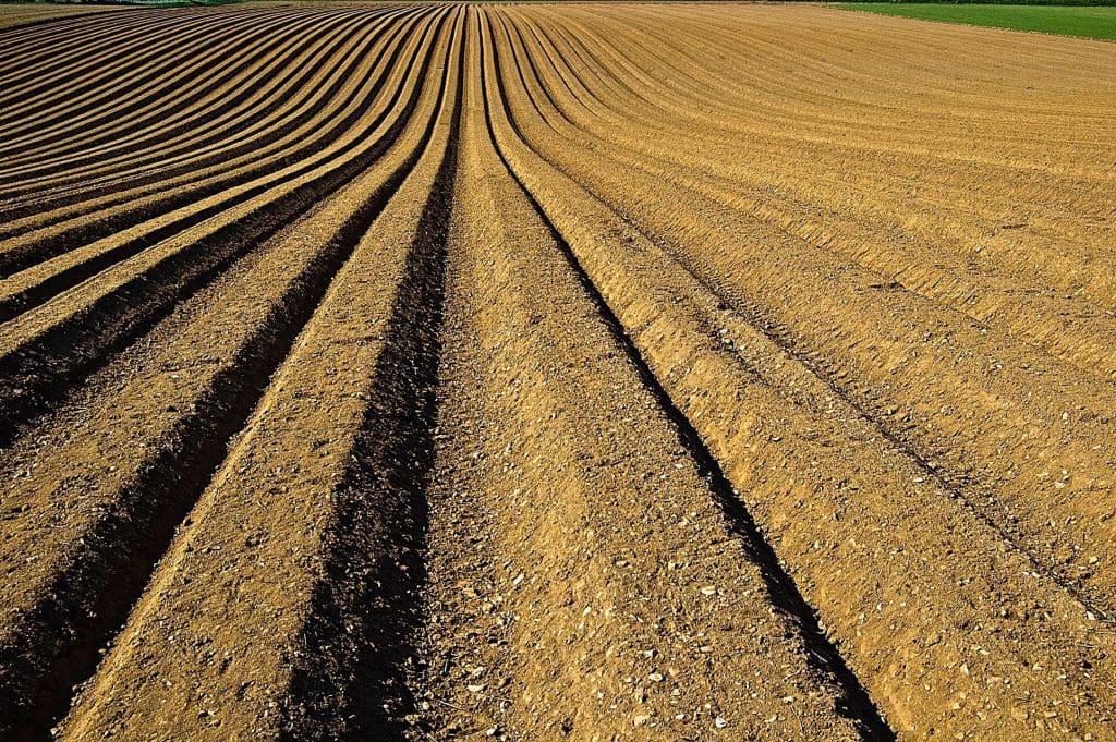 Plowed agricultural field with distinct furrows in perspective view.